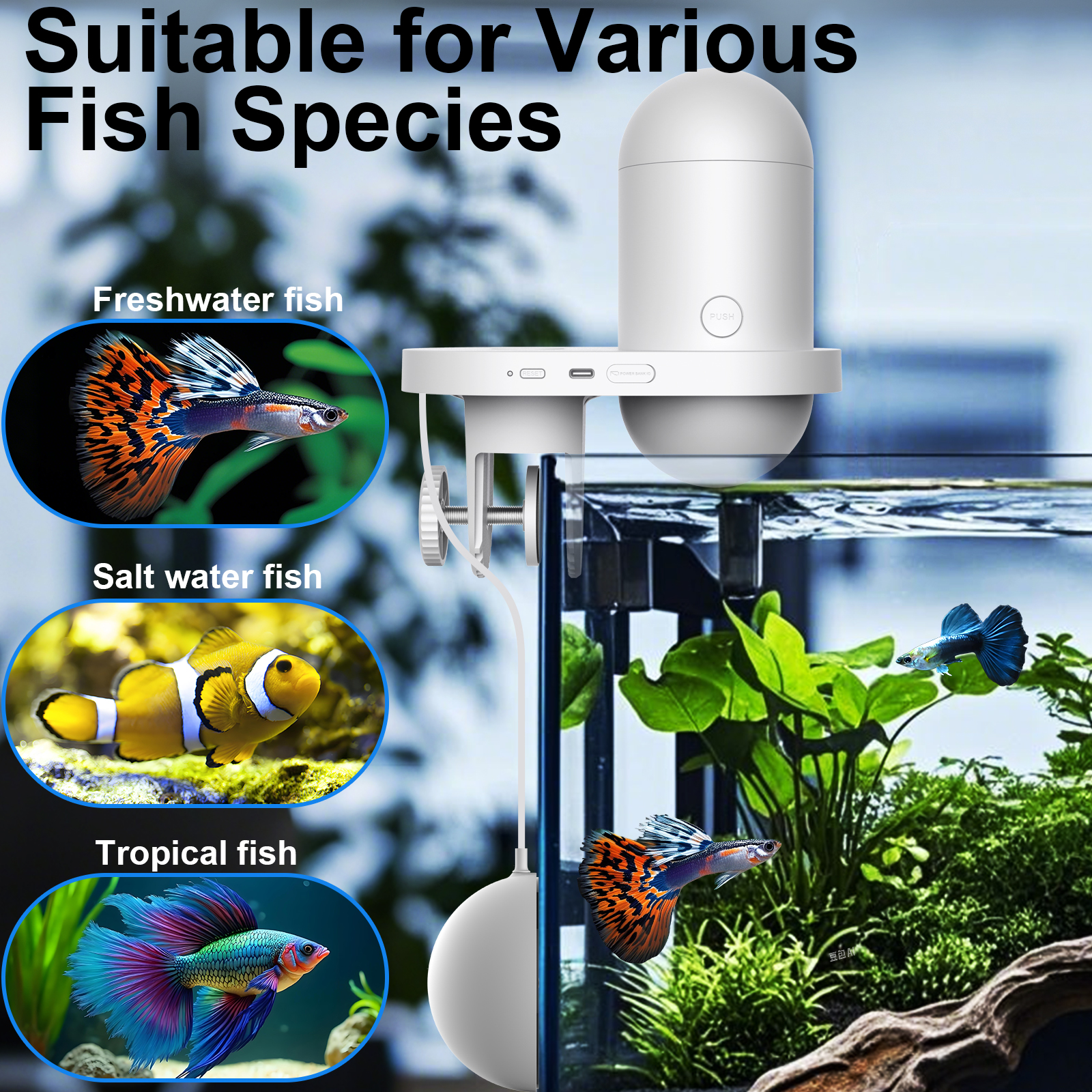 Automatic Fish Feeder With Cam - Fishing Line Dispenser 评论和价格
